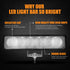 Halogen & Xenon Headlights